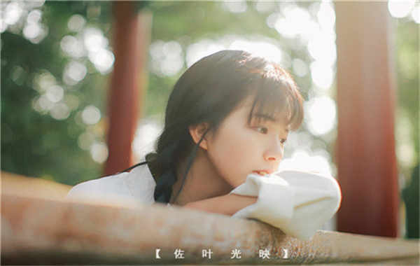 金凤胎儿性别鉴定需要多少钱(胎儿性别鉴定的方法)